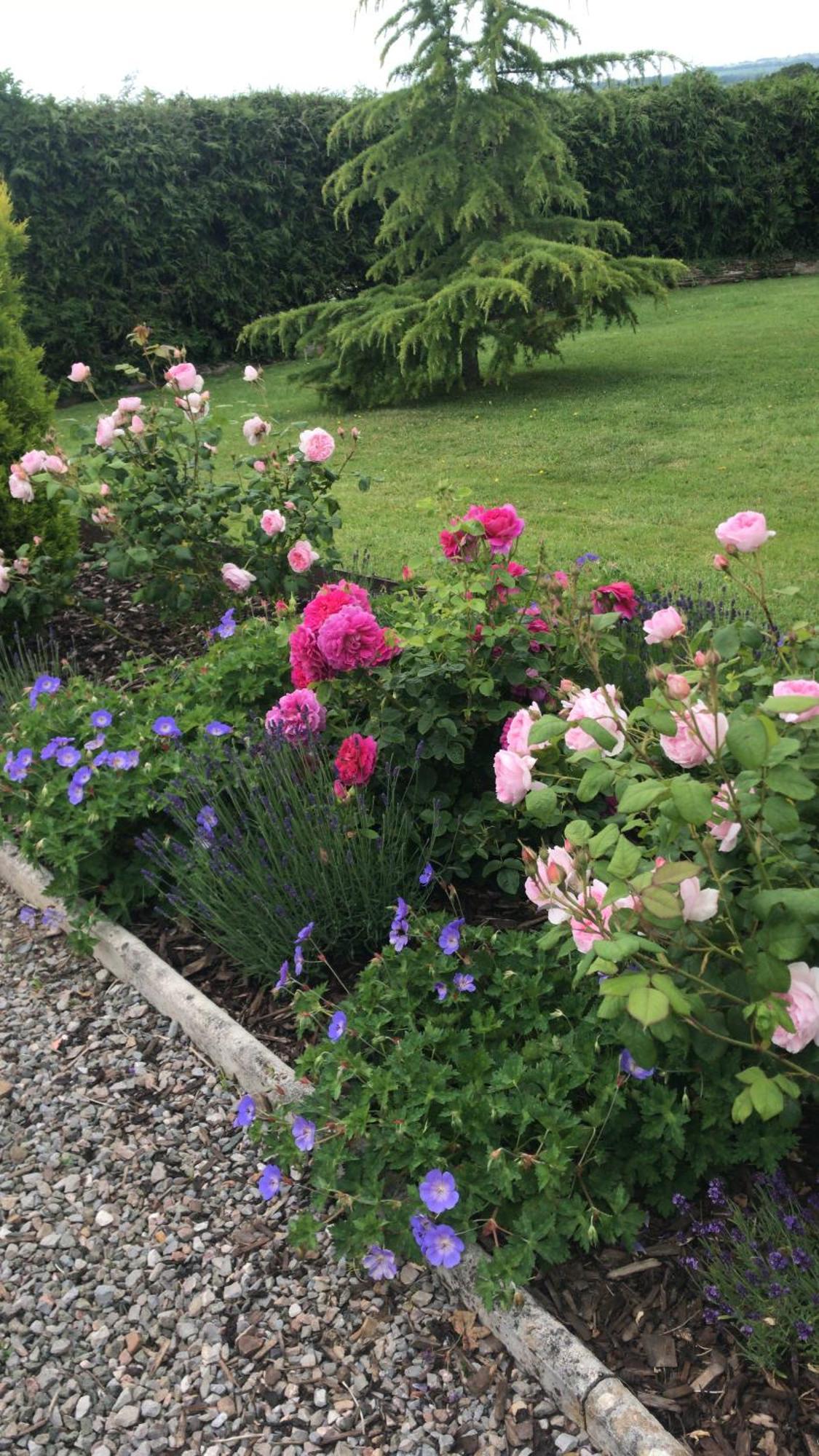 Yeoford Rock Park Farm - Home From Home Accommodation מראה חיצוני תמונה